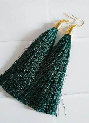 Сережки пензлика 2