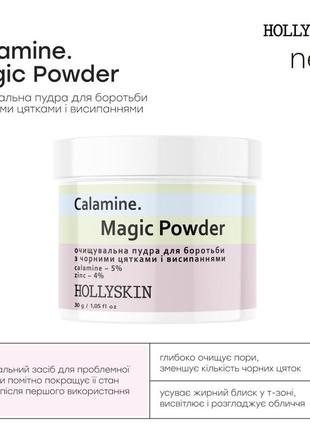 Очищувальна пудра для боротьби з чорними цятками і висипаннями hollyskin calamine. magic powder