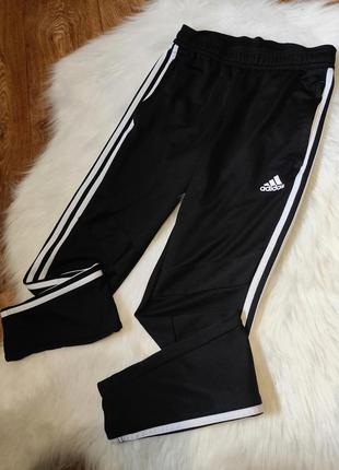 Спортивные штаны adidas1 фото