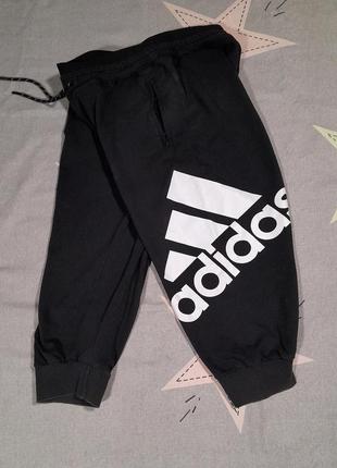 Бриджи с big logo adidas s-m