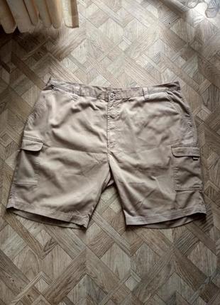 Стильные шорты большого размера