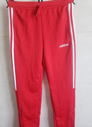 Adidas climalite спортивні штани на 11-12 років2 фото