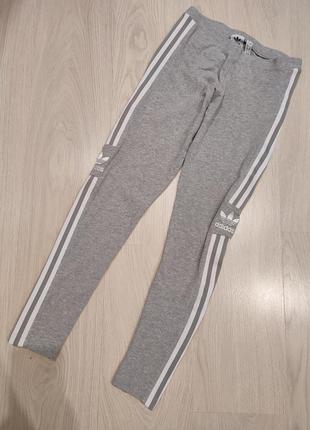 Спортивные штаны, леггинсы, лосины adidas