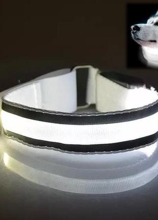 Нашийник для собак що світиться animal led white розмір s