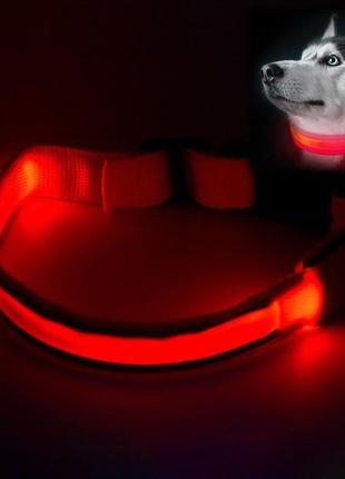 Нашийник для собак що світиться animal led red розмір xl