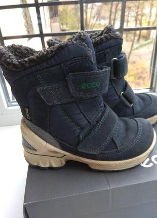 Детские зимние ботинки ecco biom hike infant