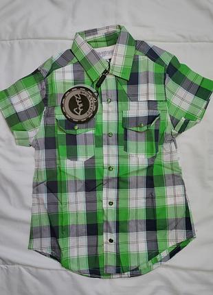 Італійська бавовняна теніска на хлопчика в соковиту карту zu-yspanici