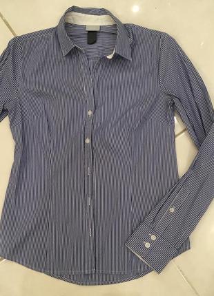 Стрейчева сорочка в біло-синю дрібну смужку