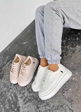 Базовые кеды