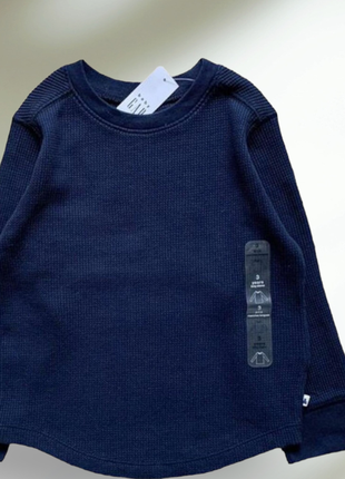 Регланчик   gap на 3 роки