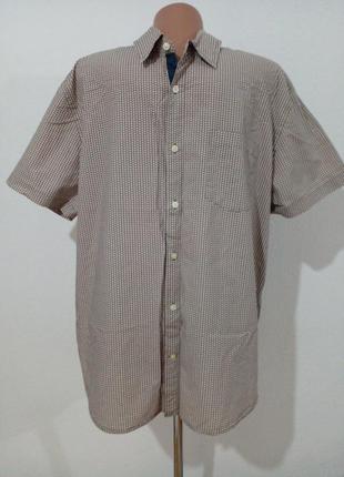 Принтованная рубашка тенниска