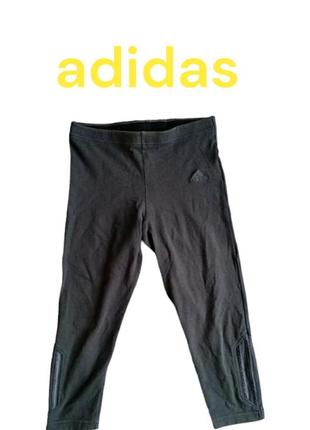 Женские бриджи/шорты adidas