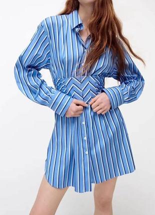 Бавовняна сукня сорочка zara