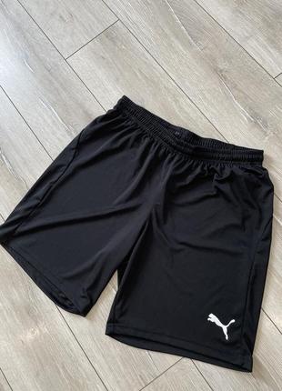 Шорты puma