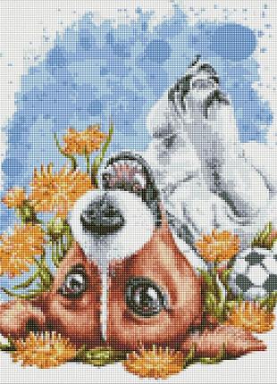 Алмазна мозаїка маленький улюбленець ідейка 40 х 50 amo7558