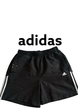 Шорти adidas.