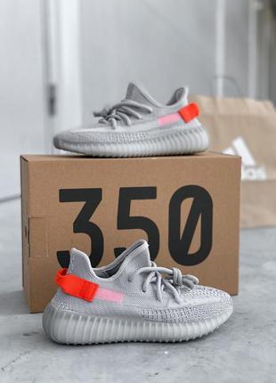 Кроссовки adidas yeezy boost 350 женские adidas samba лето адидас серые белые весна жіночі кросівки адідас інікі чорно білі