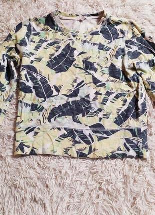 Світшот в листя з принтом gap