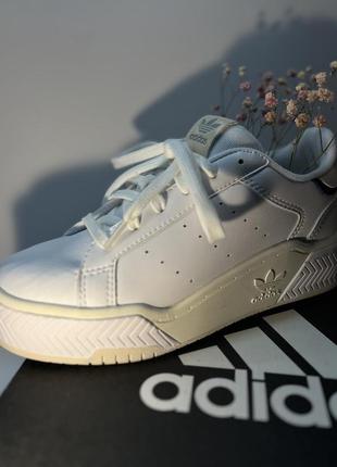 Adidas originals court tourino bold