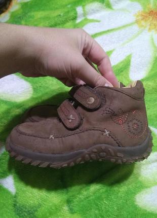 Туфли elefanten,26роз.кожа,боти ,макасини,ботинки