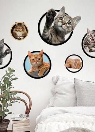 Интерьерная наклейка 3d котята в рамке милые котики + подарок2 фото