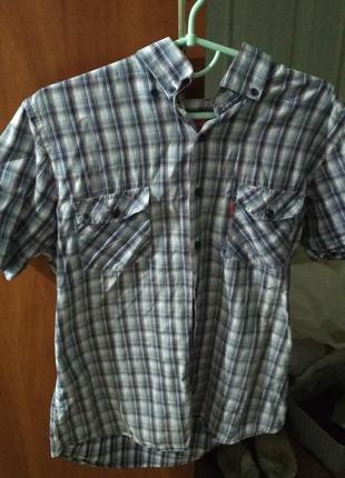 Рубашка мужская в клетку нарядная collin's1 фото