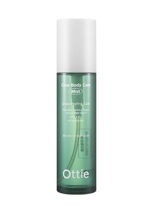 Міст для проблемної шкіри тіла ottie clear body care mist, 100 мл