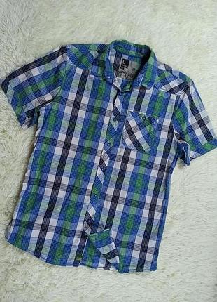 Красива яскрава сорочка бавовна чоловіча.