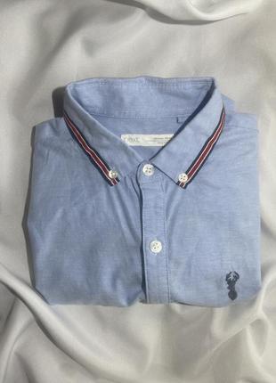 Голубая натуральная рубашка от next6 фото