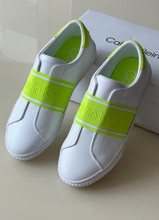 Кеды calvin klein оригинал
