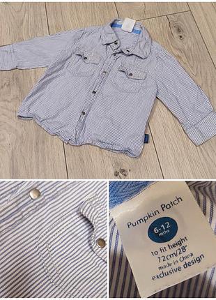 Сорочка смугаста бавовна