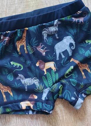 Плавки шорты купальные детские принт животные4 фото