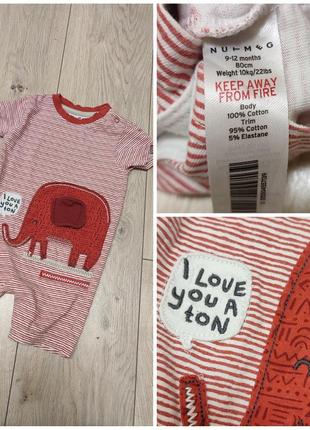 Пісочник песочник слон смужка