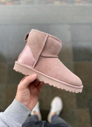 Зимние сапожки ugg в розовом цвете с мехом овчины (осень-зима-весна)😍