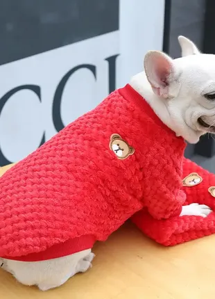 Махровая кофта свитшот красная с медведем, модная одежда для собак цвергпинчер, пекинесов m07803 фото