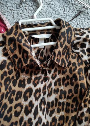 Шифонова блузка сорочка рубашка леопардовий принт  з об'ємними рукавами6 фото