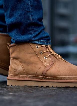 Ugg neumel “chestnut”зимние мужские замшевые коричневые угги/ботинки, уги с мехом