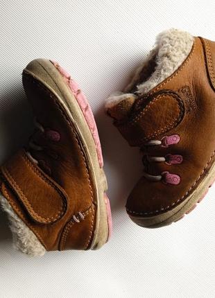 Черевики clarks