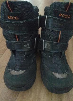Зимние сапожки ecco gor tex 28 размера