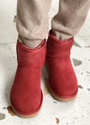 💞зимние угги💞женские замшевые красные уги с мехом. ugg6 фото