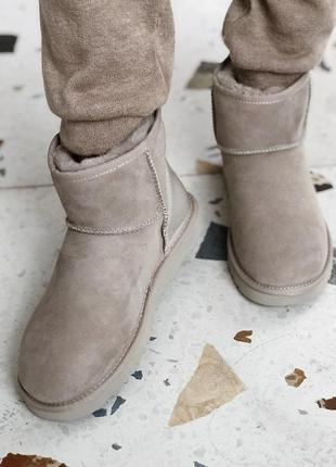 🌹ugg grey🌹жіночі зимові замшеві сірі уггі з хутром. угі3 фото