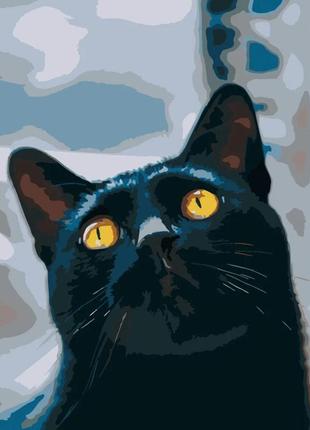 Картина за номерами котик з жовтими очима 40х40 см strateg