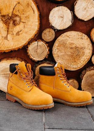 ✳️зимние мужские ботинки timberland ginger brown✳️тимберленд с мехом10 фото