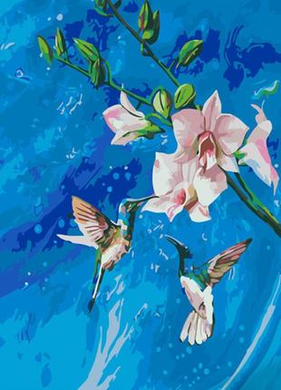 Картина по номерам strateg премиум колибри в небесах с лаком размером 40х50 см (gs1114)