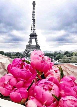 Алмазная мозаика на подрамнике путешествие во францию, париж 40х50 tn959