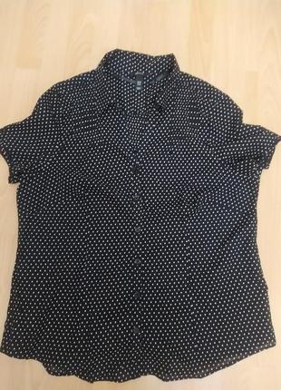 Блуза жіноча h&m