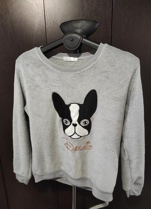 Піжамка бульдог