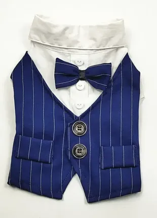 Праздничная одежда костюм для маленьких собак-мальчиков alfa джентельмен синий с бабочкой s m1790