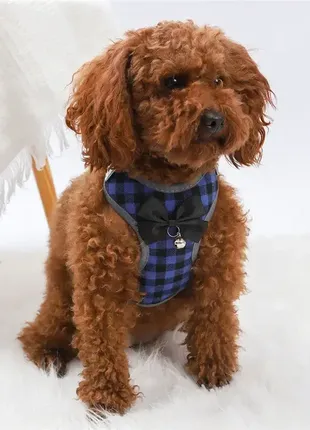 Шлея жилет с поводком для выгула собак и котов, с бабочкой и колокольчиком синяя s m1760