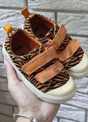 Кеди